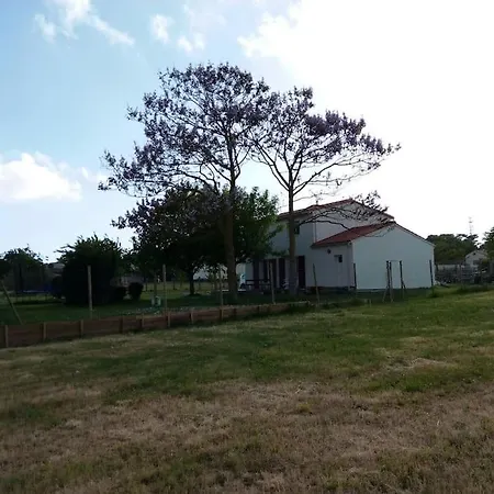 Tres Agreable Maison 6 P, 3 Minutes Des Plages, Piscine, Jardin Arbore Et Clos *